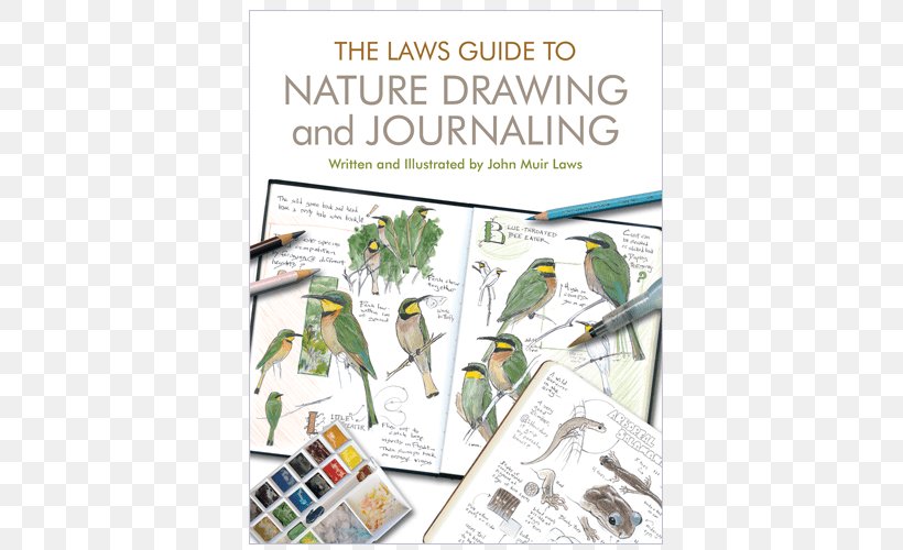 The Laws Guide To Nature Drawing And Journaling The Laws Sketchbook For Nature Journaling Paperback, PNG, 500x500px, Drawing, Art, Author, Bird, Book Download Free