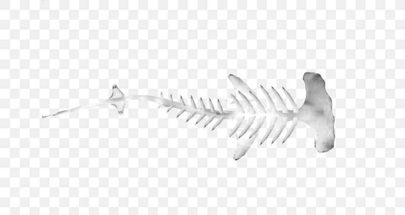 Tiger Shark Isurus Oxyrinchus Hammerhead Shark Great Hammerhead, PNG, 650x436px, Shark, Beak, Bird, Black And White, Branch Download Free
