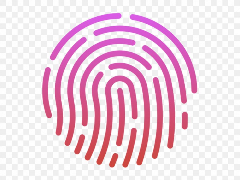Touch ID Fingerprint IPhone Apple, PNG, 1024x768px, Touch Id, Apple, Biometrics, Fingerprint, Iphone Download Free