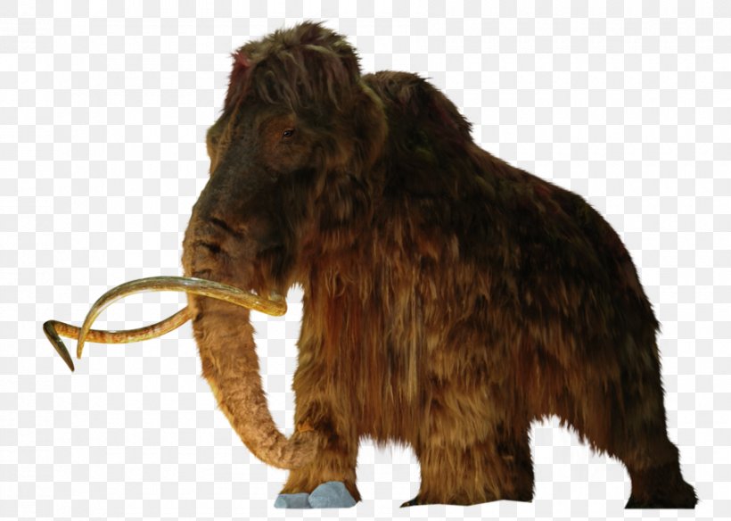 Woolly Mammoth Woolly Rhinoceros Columbian Mammoth Elasmotherium Extinction, PNG, 900x642px, Woolly Mammoth, Animal, Cattle Like Mammal, Coelodonta, Columbian Mammoth Download Free