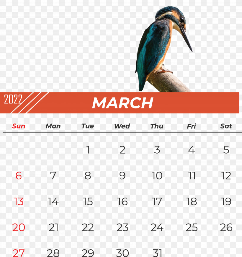 Birds Calendar Beak Font Meter, PNG, 5607x5949px, Birds, Beak, Biology, Calendar, Meter Download Free