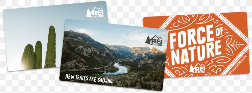 Gift Card REI Outdoor Recreation Credit Card, PNG, 1280x473px, Gift Card, Advertising, Brand, Cheque, Credit Card Download Free