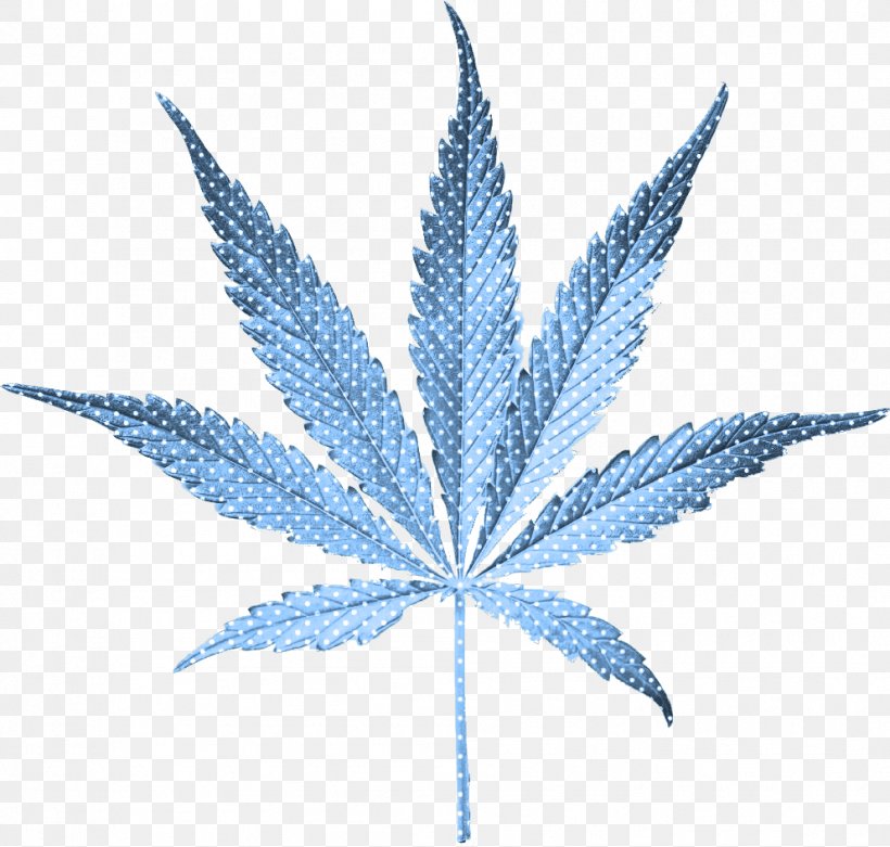 United States Cannabis Smoking Legality Of Cannabis Medical Cannabis, PNG, 992x946px, United States, Brain, Cannabidiol, Cannabis, Cannabis Smoking Download Free