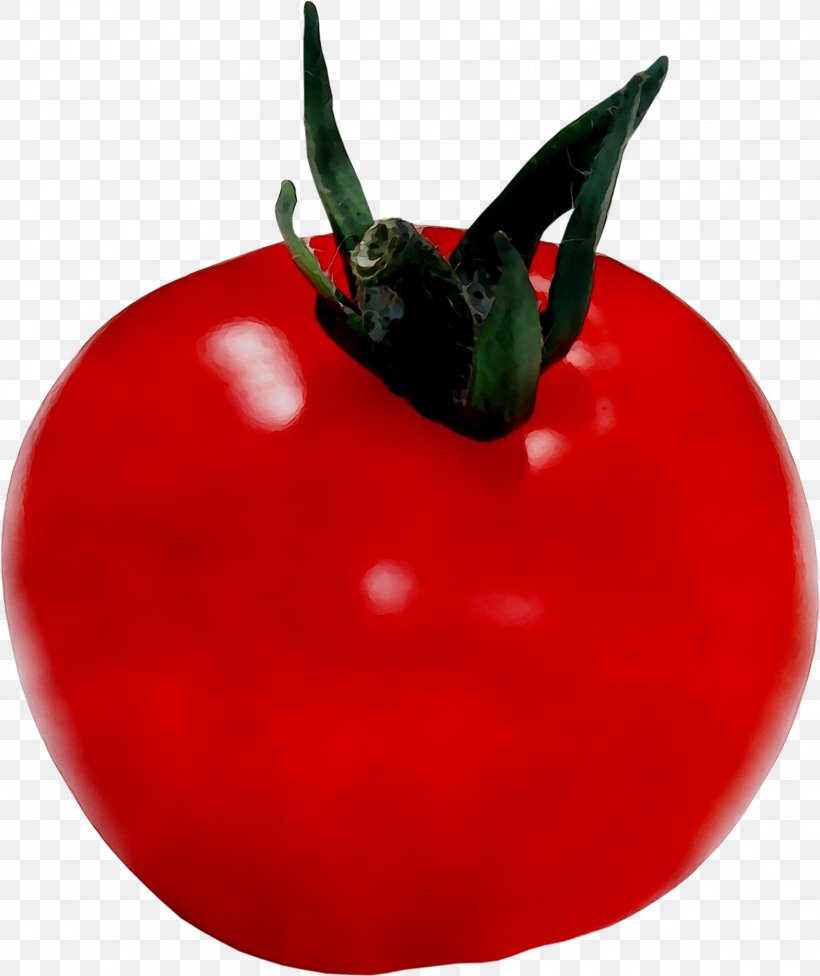 Bush Tomato Chili Pepper Bell Pepper Peppers, PNG, 1552x1849px, Tomato, Apple, Bell Pepper, Bell Peppers And Chili Peppers, Bush Tomato Download Free