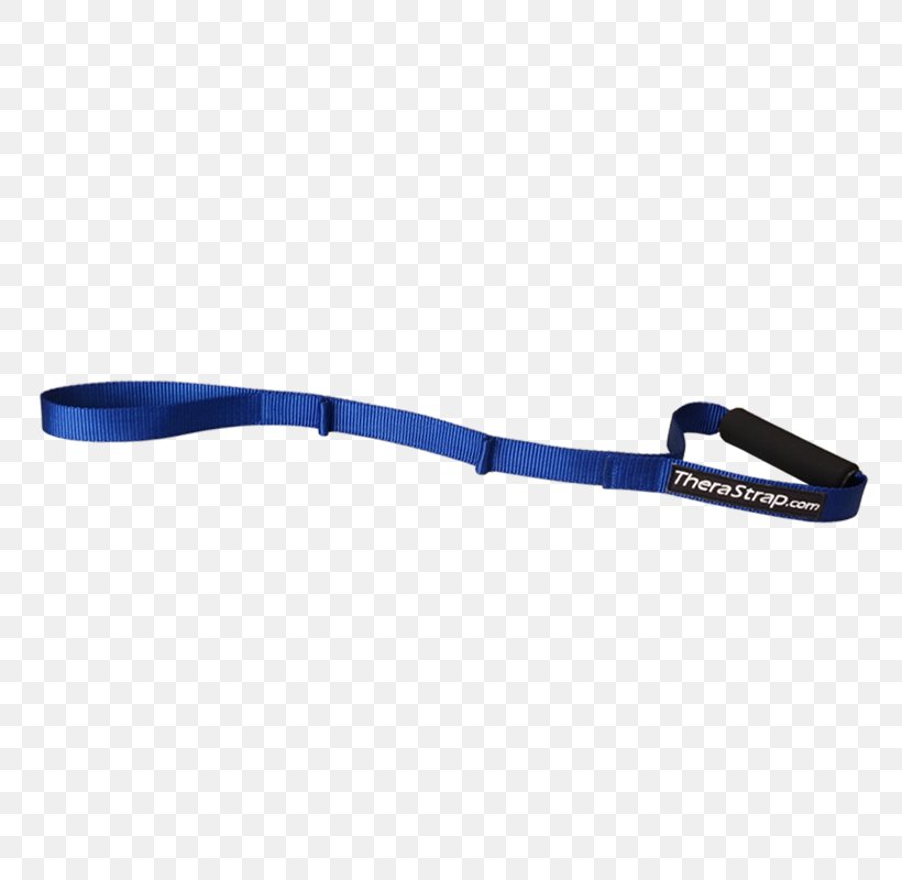 Leash, PNG, 800x800px, Leash, Blue, Fashion Accessory, Hardware Download Free