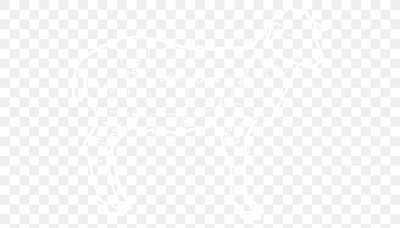 Manly Warringah Sea Eagles St. George Illawarra Dragons United States Parramatta Eels Logo, PNG, 1000x571px, Manly Warringah Sea Eagles, Business, Hotel, Industry, Logo Download Free