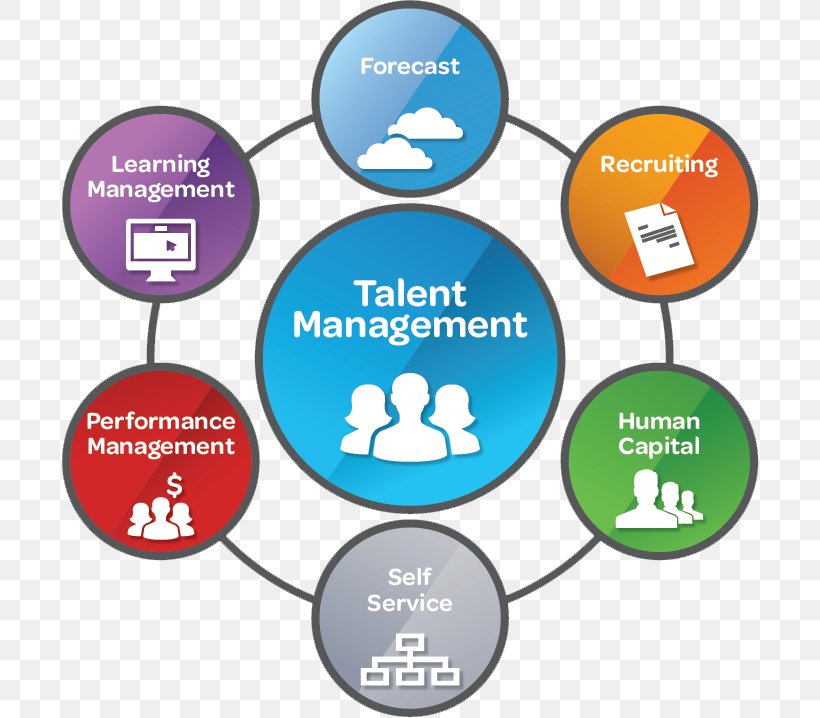 Talent Management System Stambaugh Ness Business, PNG, 698x718px, Talent Management, Area, Best Practice, Brand, Business Download Free