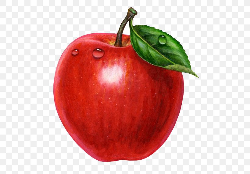 Apple Juice Crisp Malus Ioensis Leaf, PNG, 564x569px, Apple Juice, Accessory Fruit, Apple, Apples, Crisp Download Free