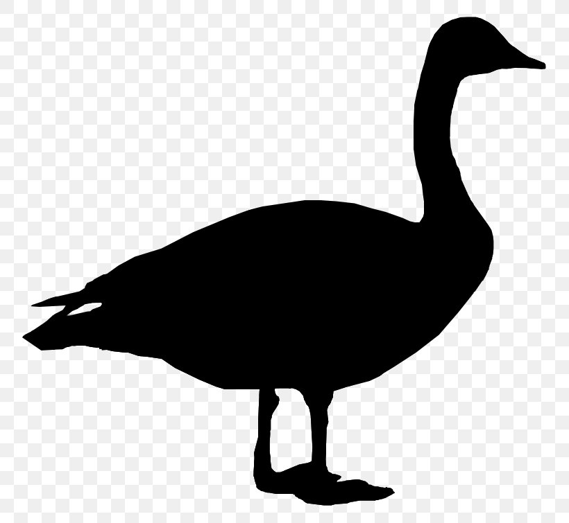 Canada Goose Duck Clip Art Decal, PNG, 755x755px, Goose, American Black Duck, Art, Beak, Bird Download Free