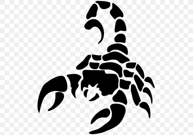 Scorpion Clip Art, PNG, 505x573px, Scorpion, Astrological Sign, Black, Black And White, Carnivoran Download Free