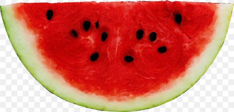 Watermelon Cartoon, PNG, 1200x579px, Watercolor, Africa, Area, Citrullus, Continent Download Free
