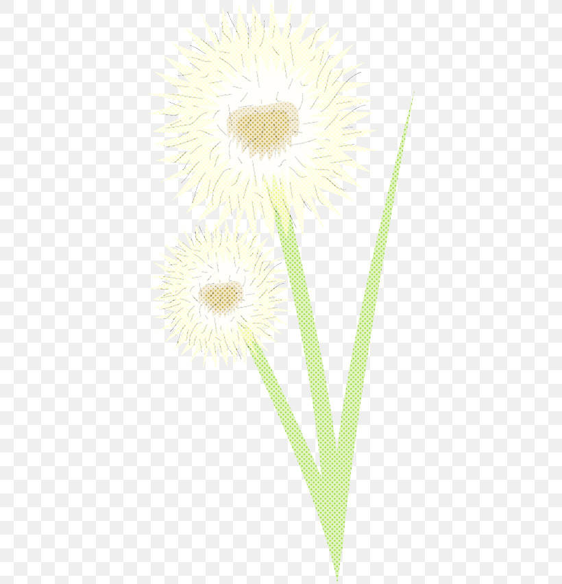 Yellow Flower Plant Dandelion Dandelion, PNG, 392x852px, Yellow, Camomile, Daisy Family, Dandelion, Flower Download Free