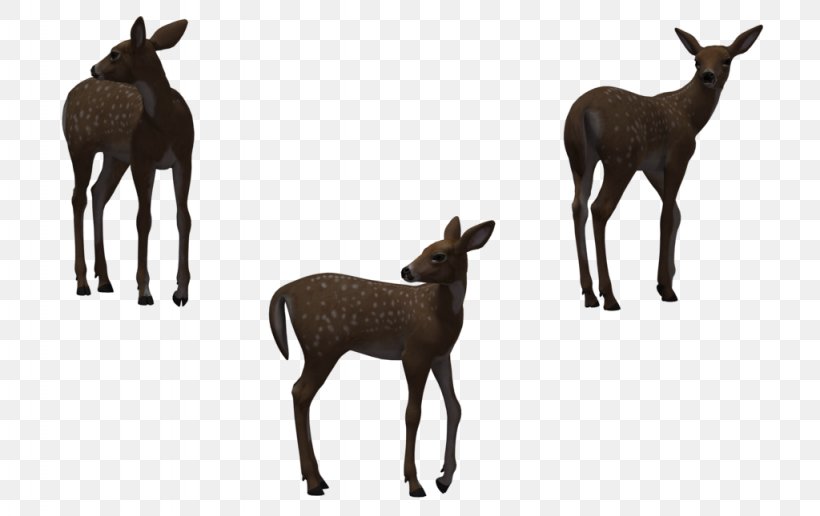 Deer Horse, PNG, 1024x645px, Deer, Antelope, Antler, Deviantart, Elk Download Free