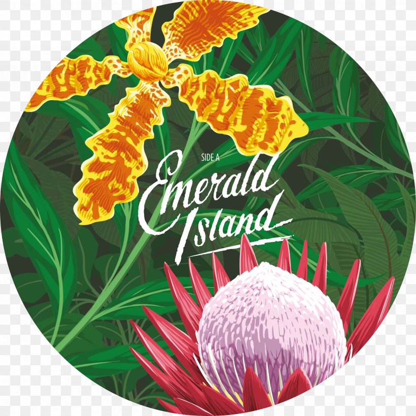 Emerald Island Extended Play Phonograph Record The Shocking Miss Emerald Picture Disc, PNG, 3484x3484px, Watercolor, Cartoon, Flower, Frame, Heart Download Free