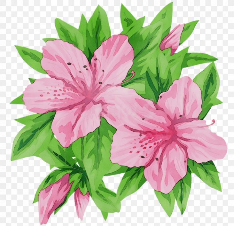 Flower Pink Petal Plant Peruvian Lily, PNG, 850x819px, Watercolor, Cut Flowers, Flower, Lily, Paint Download Free