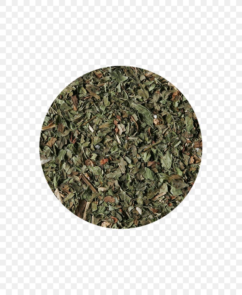 Herbal Tea Sencha Rooibos Military Camouflage, PNG, 667x1000px, Tea, Camouflage, Conifers, Grass, Health Fitness And Wellness Download Free