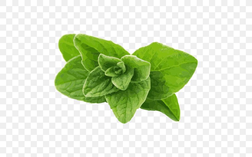 Leaf Herb Oregano, PNG, 512x512px, Leaf, Herb, Leaf Vegetable, Oregano, Plant Download Free