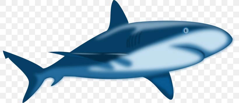 Shark Jaws Free Content Clip Art, PNG, 800x355px, Shark Jaws, Bull Shark, Cartilaginous Fish, Cartoon, Dolphin Download Free