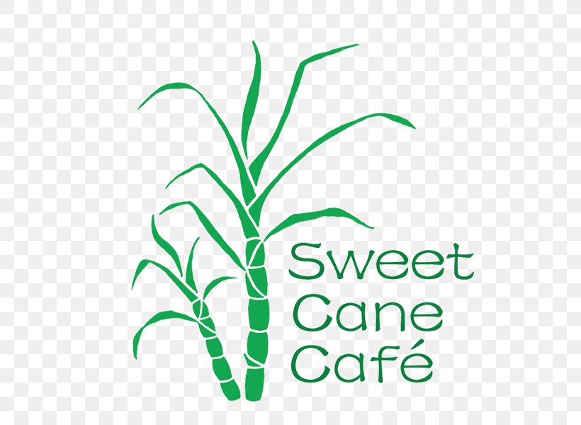 Sweet Cane Cafe Logo Leaf Font, PNG, 600x600px, Logo, Brand, Cafe, Grass, Grass Family Download Free