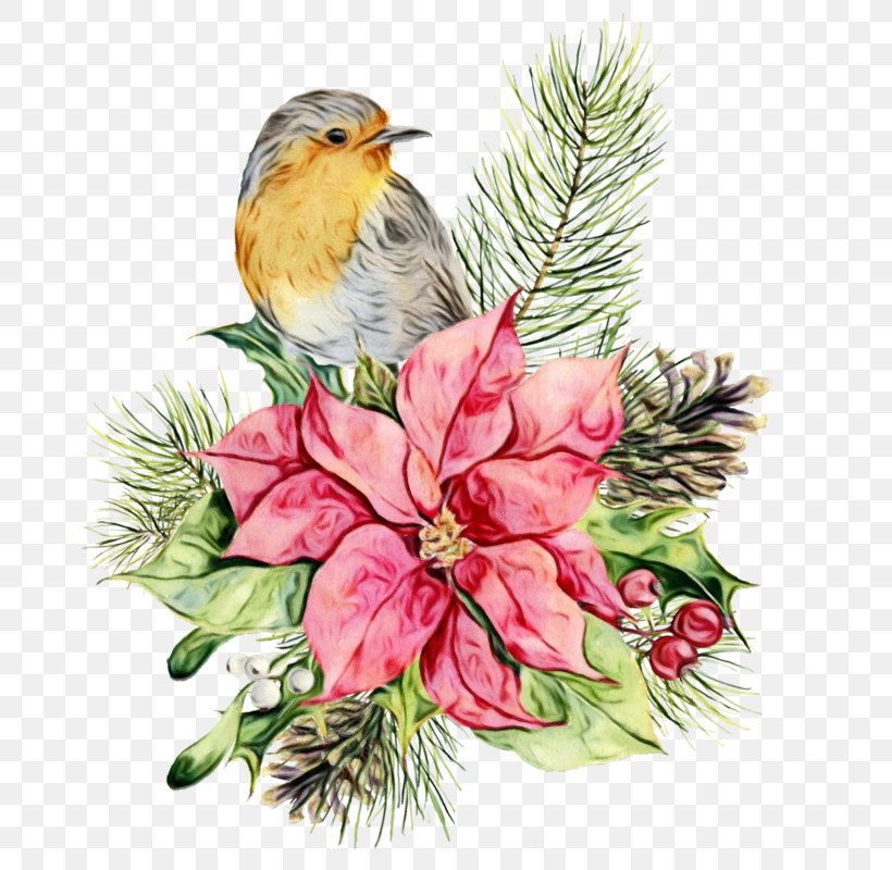 Watercolor Paint Bird Plant Branch European Robin, PNG, 800x800px, Watercolor, Bird, Branch, European Robin, Flower Download Free