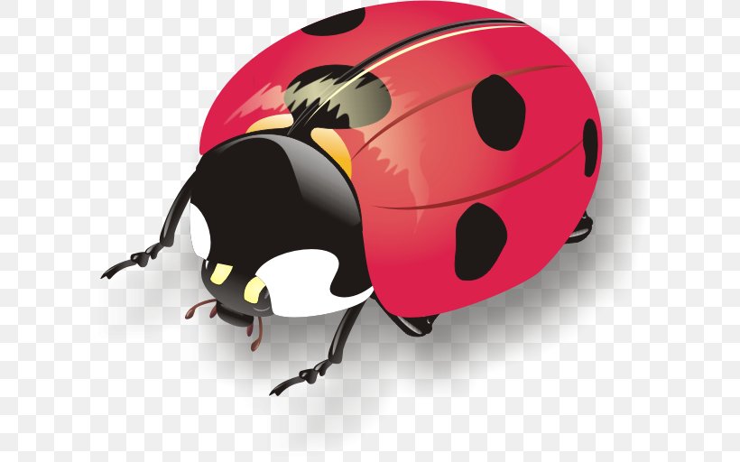 Ladybird Beetle Bicycle Helmets Ski & Snowboard Helmets, PNG, 623x512px, Ladybird Beetle, Arthropod, Beetle, Bicycle Clothing, Bicycle Helmet Download Free