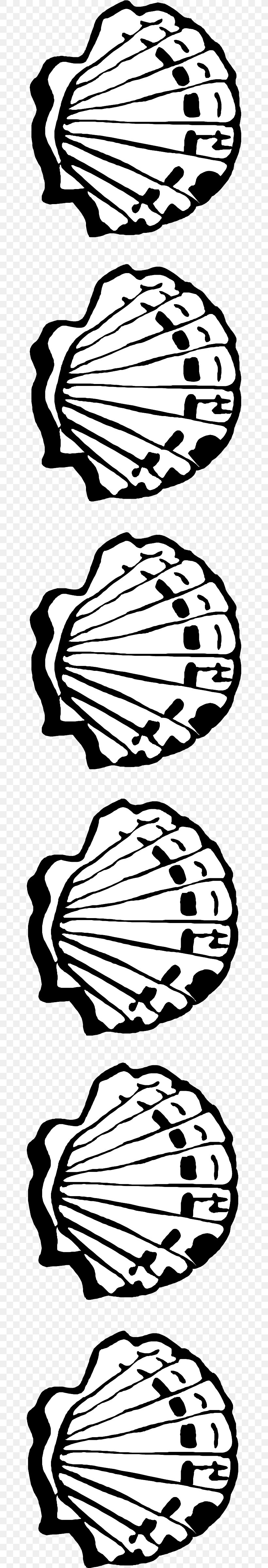 Seashell Stock Photography Clip Art, PNG, 657x4794px, Seashell, Area, Beach, Black, Black And White Download Free