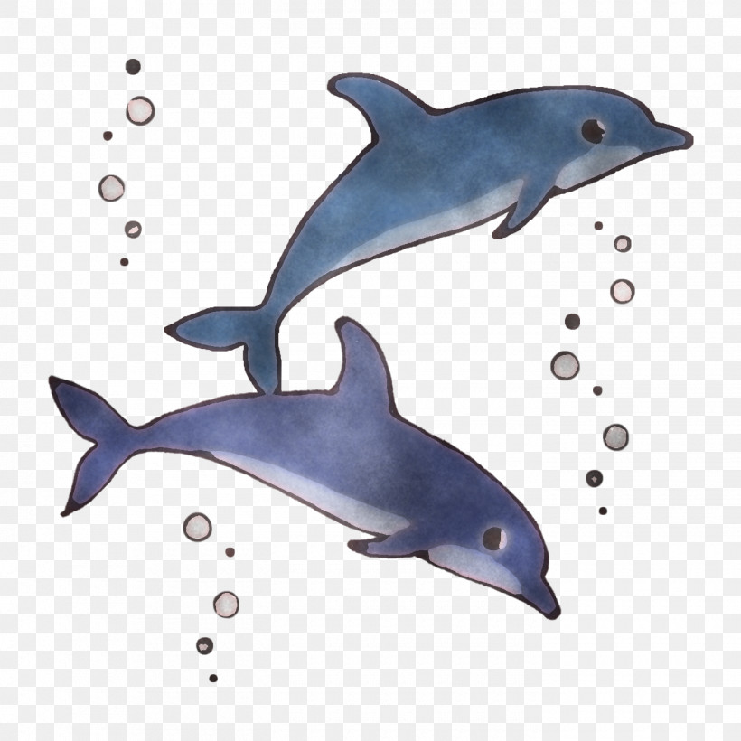 Short-beaked Common Dolphin Rough-toothed Dolphin Wholphin White-beaked Dolphin Porpoise, PNG, 1400x1400px, Shortbeaked Common Dolphin, Bottlenose Dolphin, Cetaceans, Common Dolphins, Dolphin Download Free