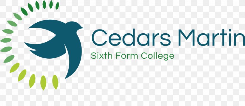 The Cedars Academy Beauchamp College Sixth Form College National Secondary School, PNG, 2194x955px, Cedars Academy, Academy, Area, Beauchamp College, Brand Download Free