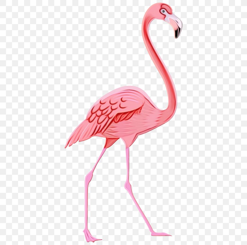 Flamingo, PNG, 400x813px, Watercolor, Beak, Bird, Flamingo, Greater Flamingo Download Free