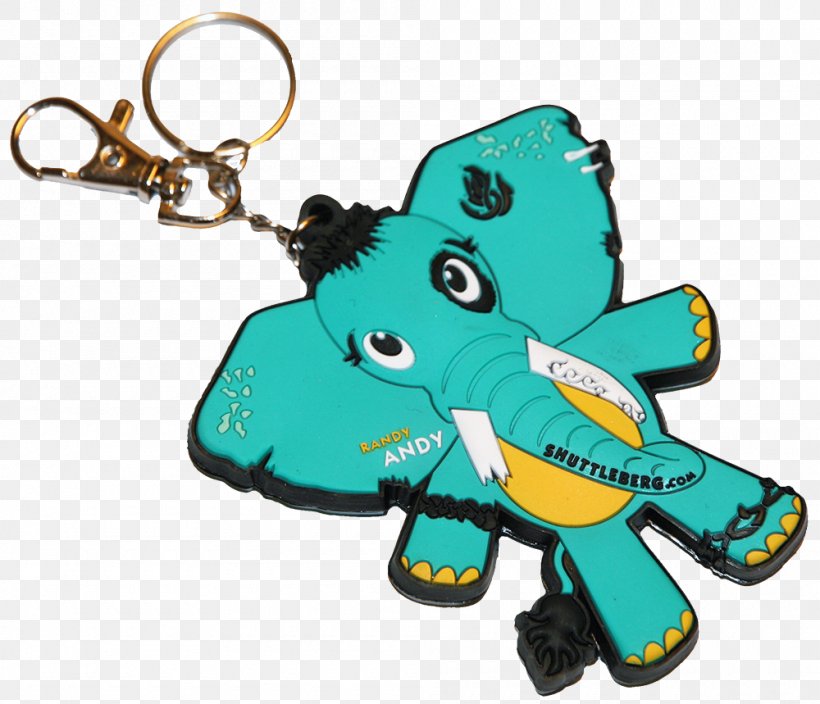 Key Chains Turquoise, PNG, 1000x859px, Key Chains, Fashion Accessory, Keychain, Turquoise Download Free