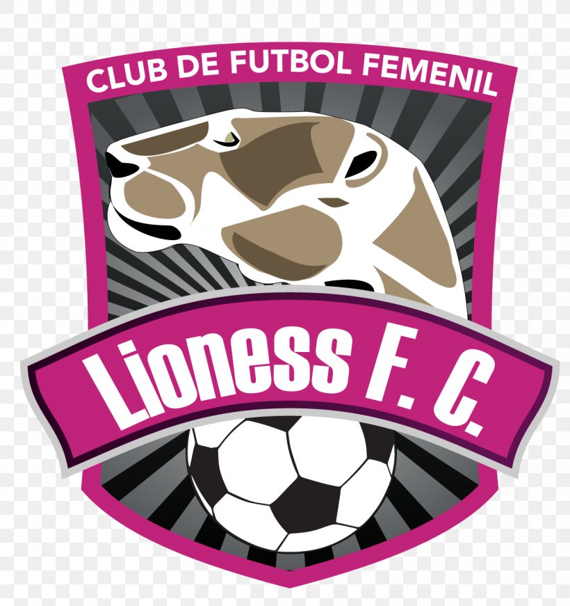 Lioness FC Metepec Football Etiqueta Sports Image, PNG, 1152x1224px, Football, Ball, Brand, Business, Cartoon Download Free