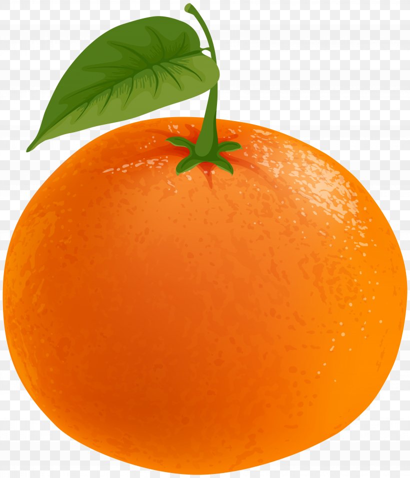 Mandarin Orange Tangerine Tangelo Clementine Grapefruit, PNG, 6862x8000px, Mandarin Orange, Blood Orange, Citrus, Clementine, Diet Food Download Free
