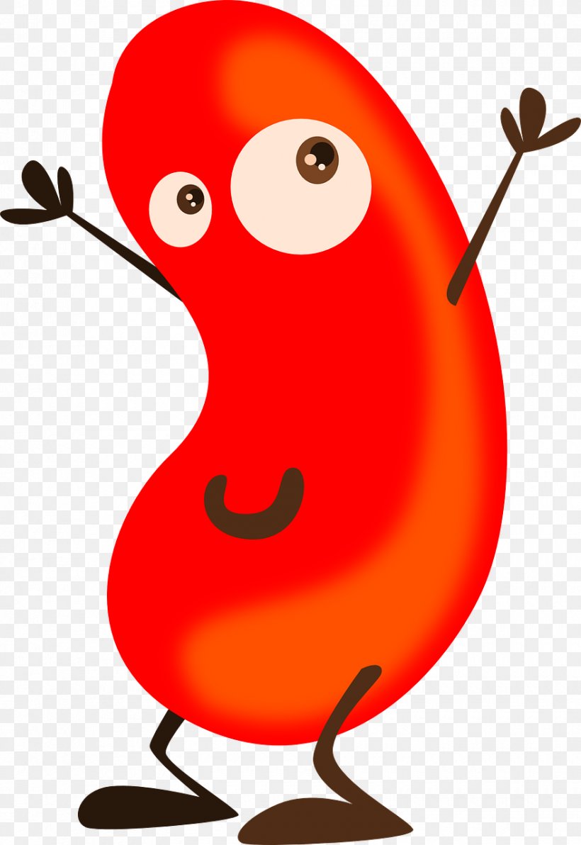 Red Beans And Rice Rice And Beans Cartoon Clip Art, PNG, 880x1280px, Red Beans And Rice, Adzuki Bean, Artwork, Beak, Bean Download Free
