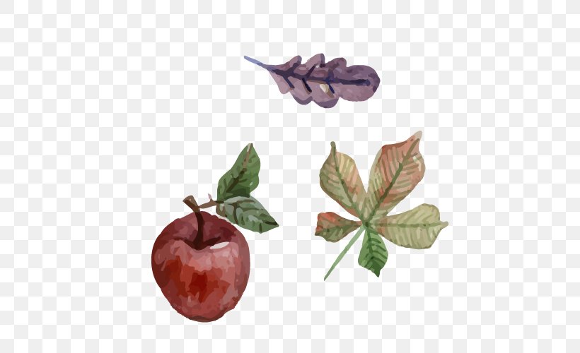 Watercolor Painting Illustration, PNG, 500x500px, Watercolor Painting, Apple, Coreldraw, Food, Fruit Download Free