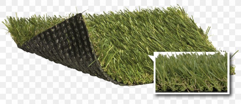 Artificial Turf Lawngrass Garden Teito, PNG, 856x371px, Artificial Turf, Culm, Garden, Grass, Grass Family Download Free