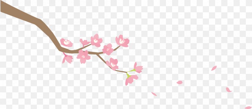 Cherry Blossom, PNG, 1204x520px, Branch, Blossom, Cherry Blossom, Flower, Petal Download Free