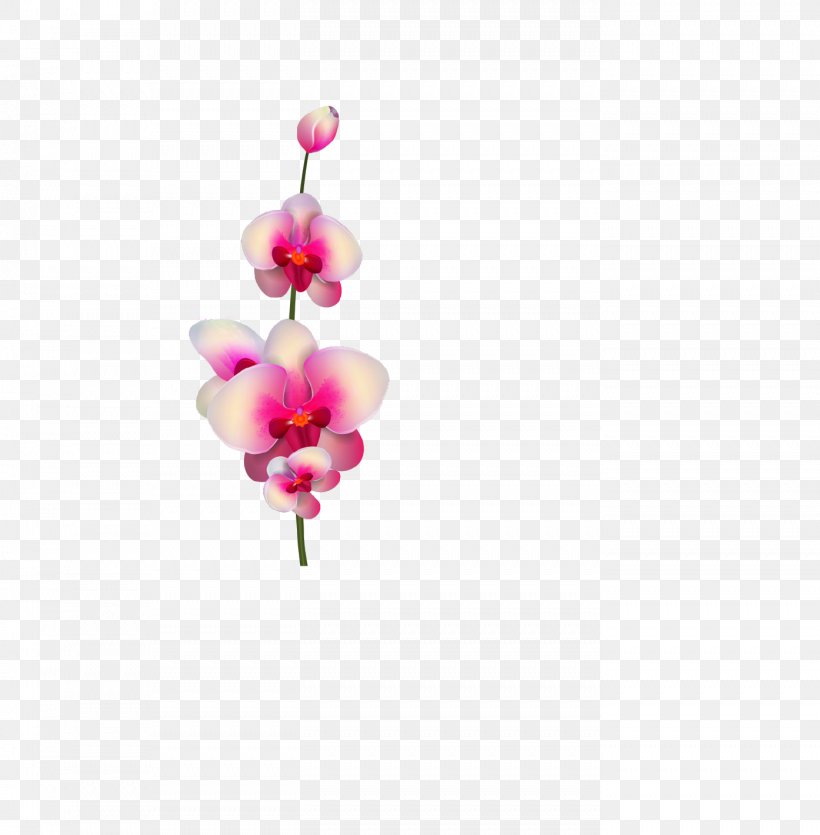 Cut Flowers Magenta Moth Orchids Purple, PNG, 1394x1420px, Flower, Body Jewellery, Body Jewelry, Cut Flowers, Flora Download Free