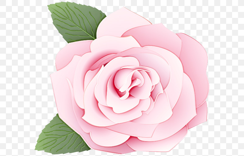 Garden Roses, PNG, 600x523px, Flower, Floribunda, Garden Roses, Hybrid Tea Rose, Petal Download Free