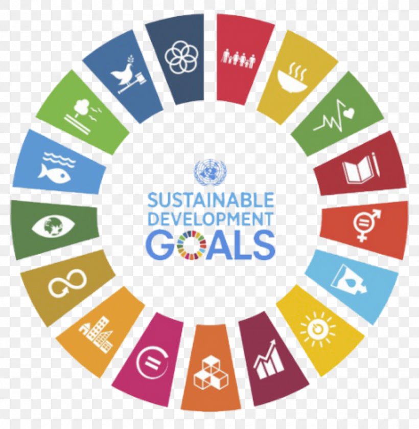 Environmental Sustainability Of The United Nations Millennium