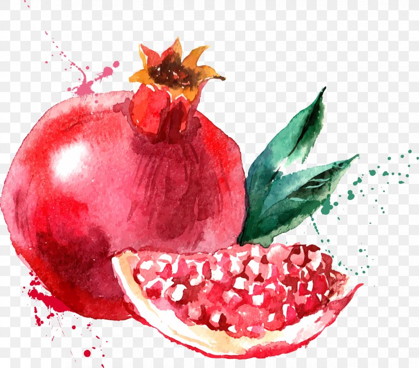 Watercolor Painting Fruit Drawing, PNG, 1657x1456px, Watercolor Painting, Accessory Fruit, Berry, Cartoon, Cranberry Download Free