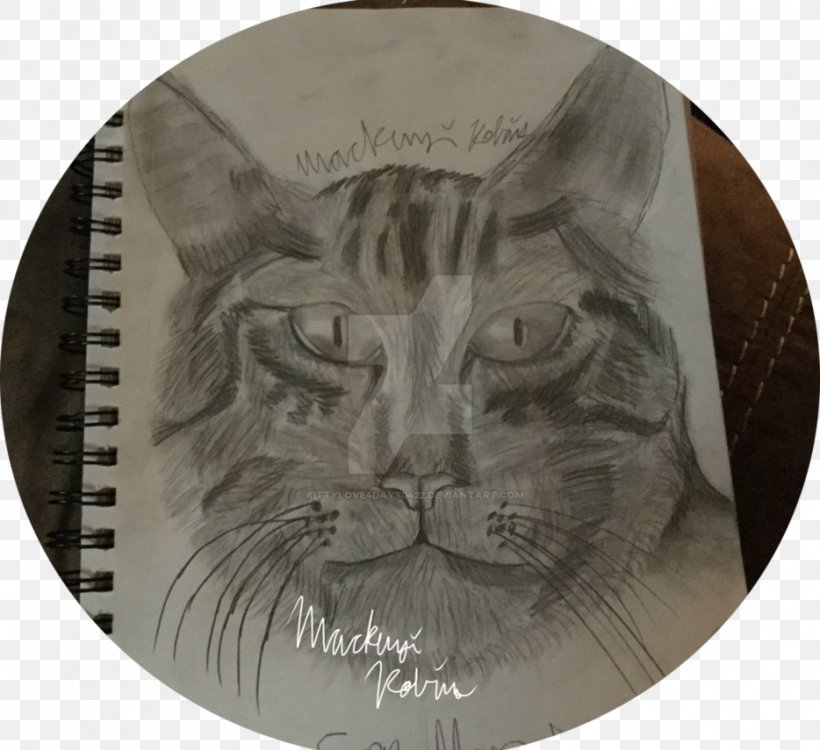 Whiskers Tabby Cat Drawing Snout, PNG, 934x855px, Whiskers, Carnivoran, Cat, Cat Like Mammal, Drawing Download Free