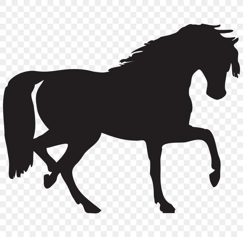 Arabian Horse Silhouette Clip Art, PNG, 800x800px, Arabian Horse, Black And White, Bridle, Colt, Draft Horse Download Free