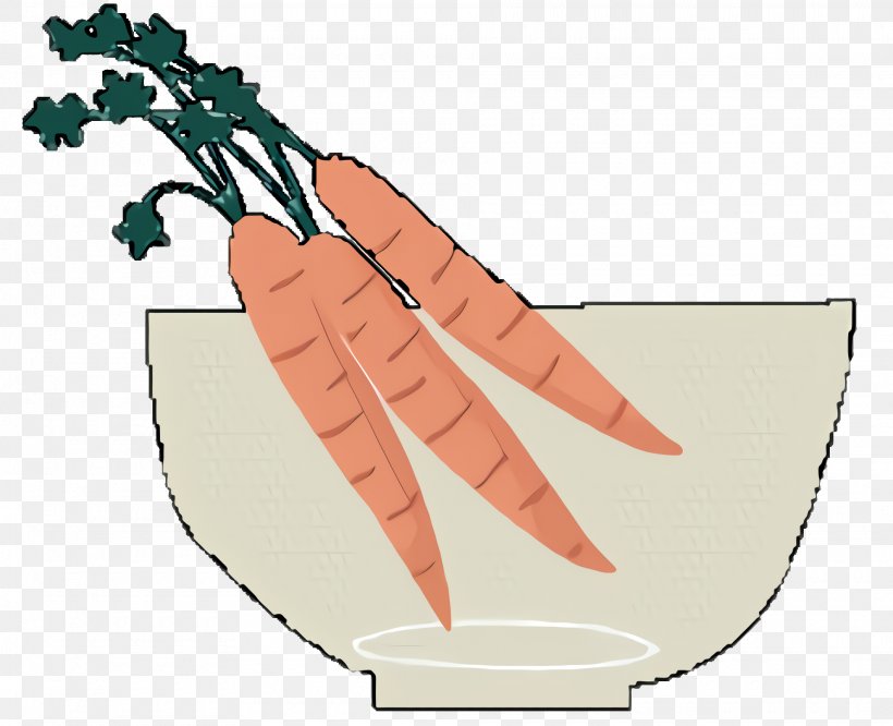 Baby Cartoon, PNG, 1920x1560px, Daikon, Baby Carrot, Carrot, Carrot Cake, Drawing Download Free