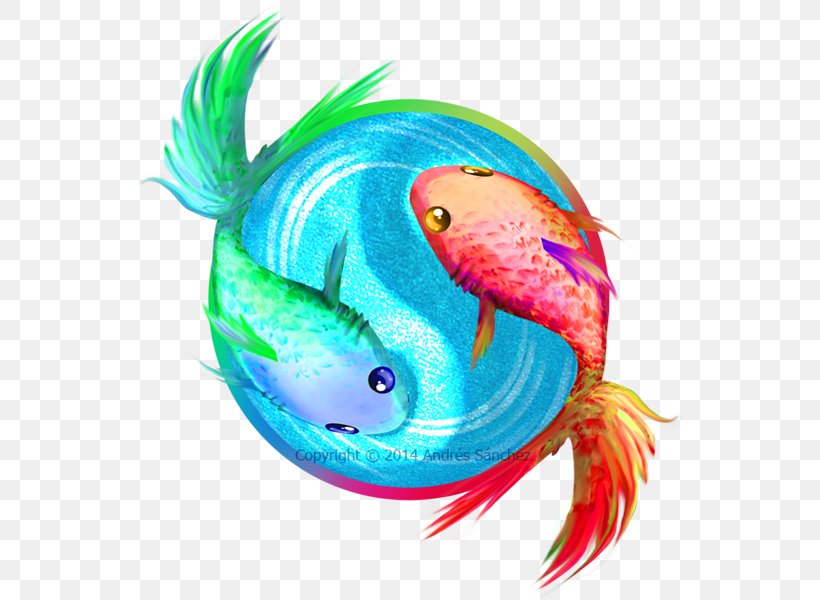 Bony Fishes Marine Biology Artist Yin And Yang, PNG, 547x600px, Bony Fishes, Artist, Biology, Deviantart, Fish Download Free