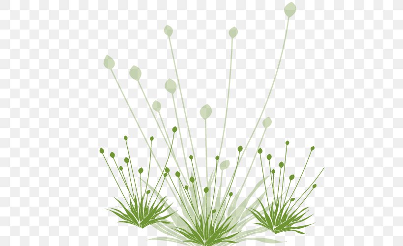 Common Dandelion Green White, PNG, 500x500px, Common Dandelion, Base, Dandelion, Dandelion Bottom, Edge Download Free