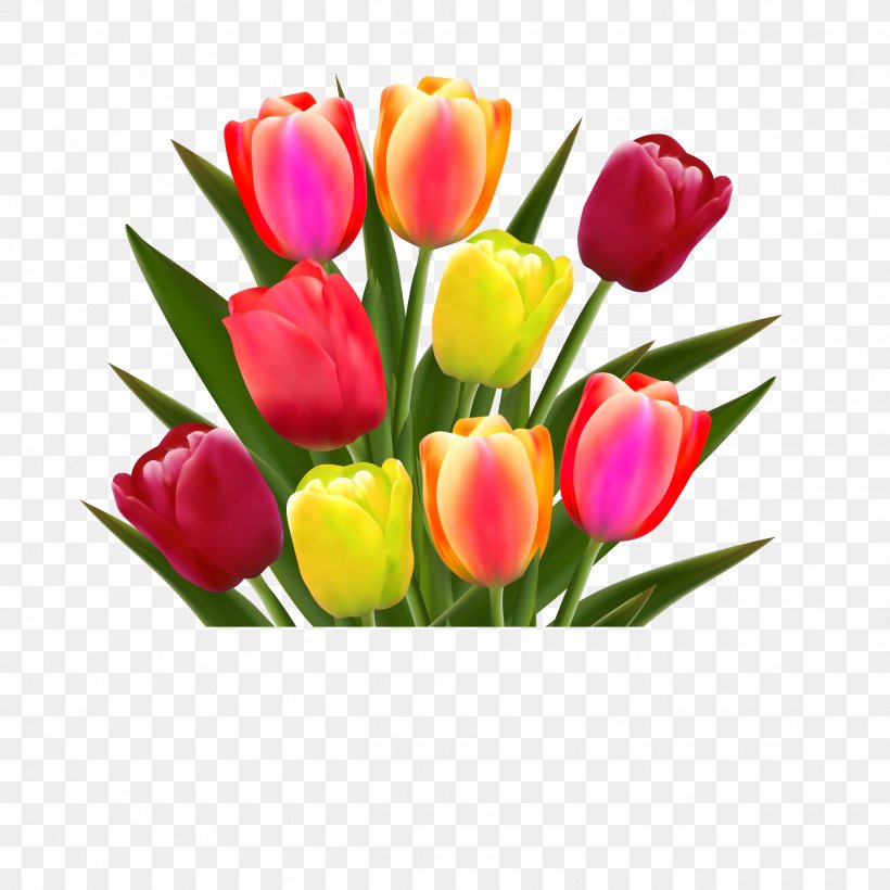 Flower Tulip Stock Photography Illustration, PNG, 2500x2500px, Flower, Art, Artificial Flower, Cut Flowers, Drawing Download Free