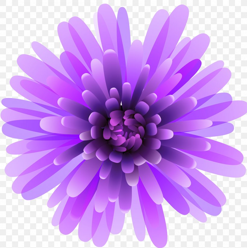 Lavender, PNG, 1200x1204px, Violet, Aster, Flower, Lavender, Lilac Download Free
