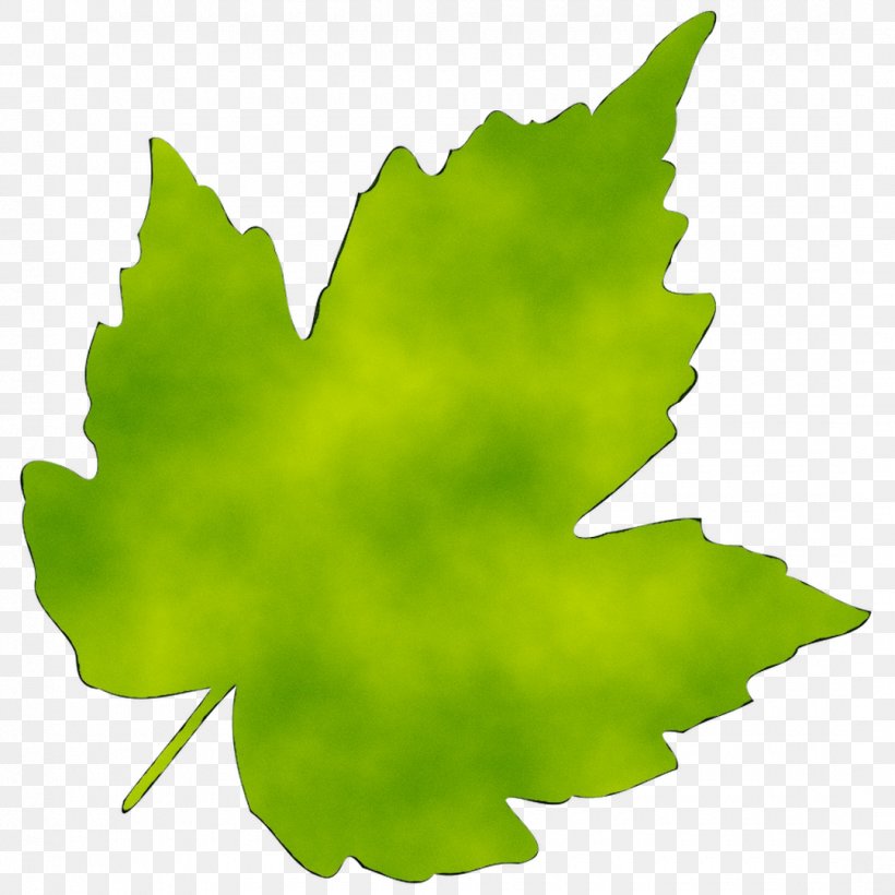 Leaf Clip Art Image, PNG, 1080x1080px, Leaf, Black Maple, Flower, Grape Leaves, Green Download Free
