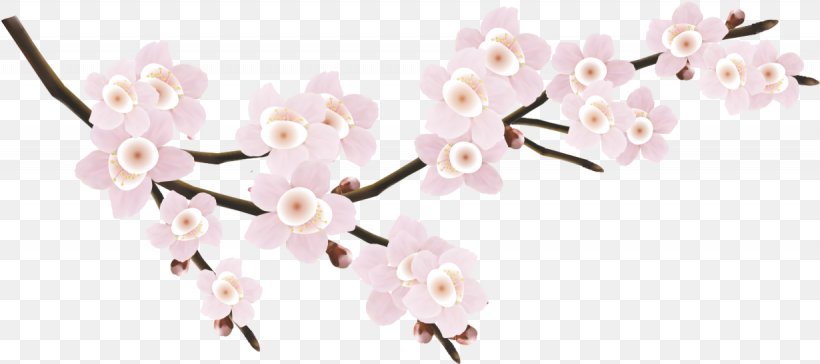 National Cherry Blossom Festival, PNG, 1230x547px, National Cherry Blossom Festival, Blossom, Branch, Cherry, Cherry Blossom Download Free