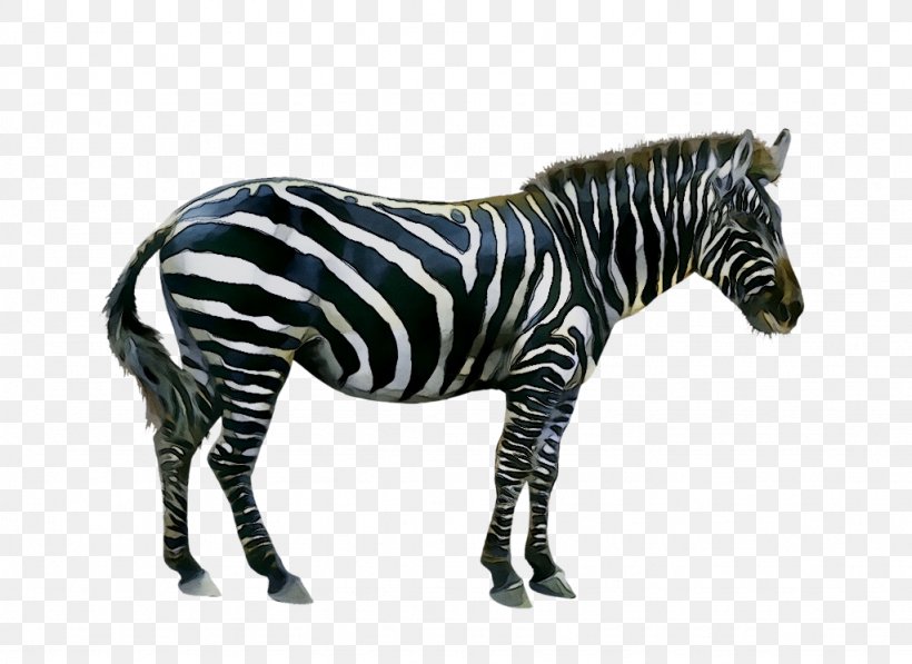 Stock Photography Image Quagga Zebra, PNG, 1024x746px, Stock Photography, Animal, Animal Figure, Banana, Blackandwhite Download Free